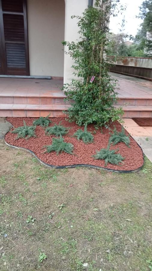 Villa Gabry E Villa Fiorita Camaiore Εξωτερικό φωτογραφία